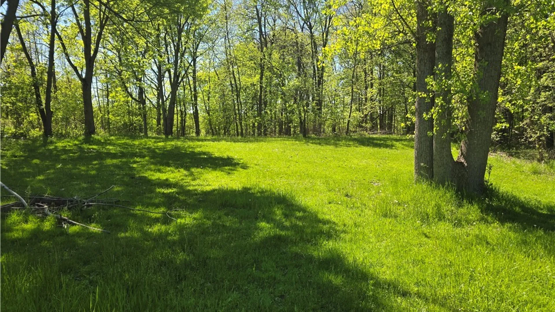 Property at 2132 Transit Road, West Seneca, NY 14224 10