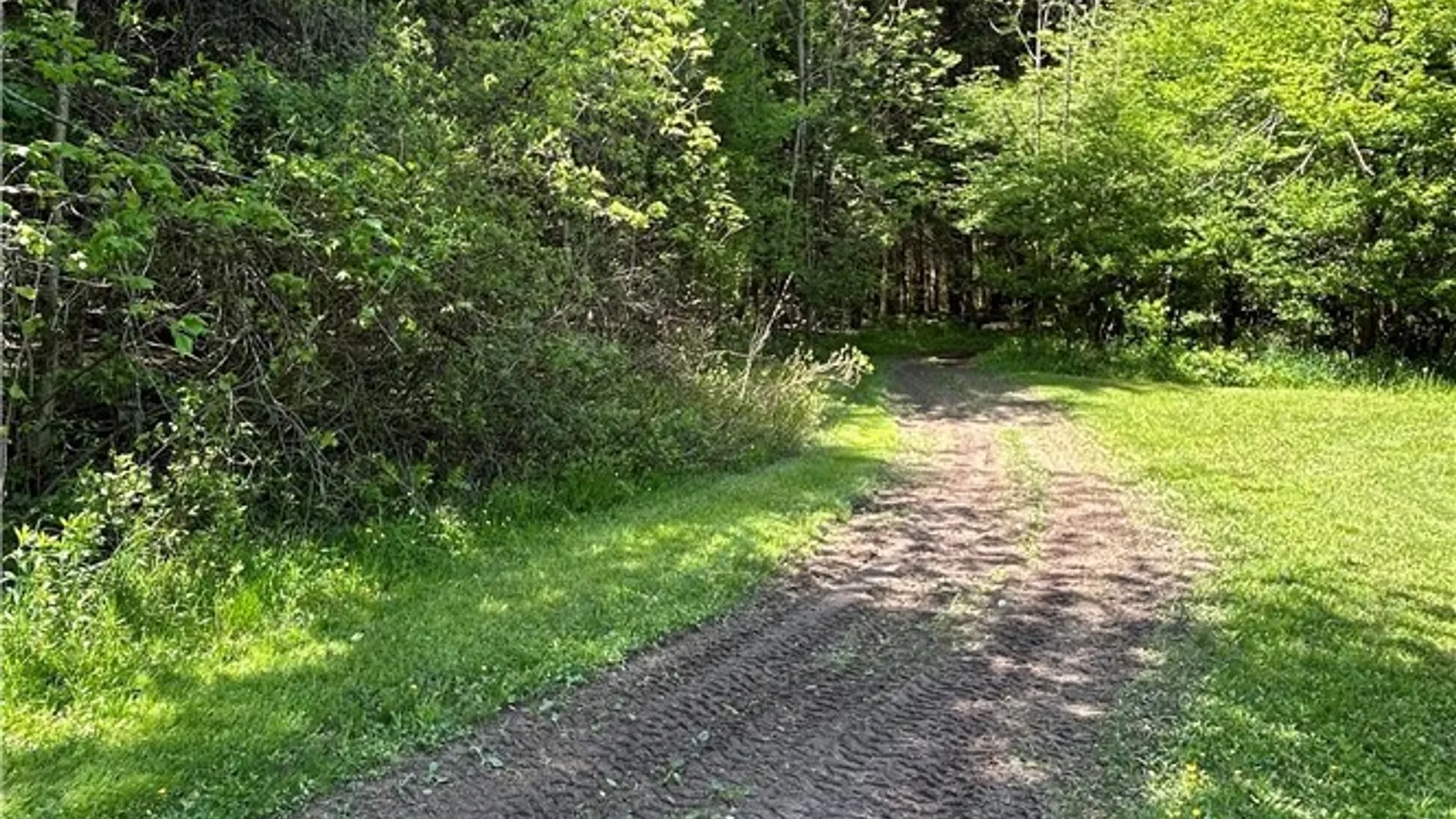 Property at 5386 Dean Road, Stockton, NY 14784 15
