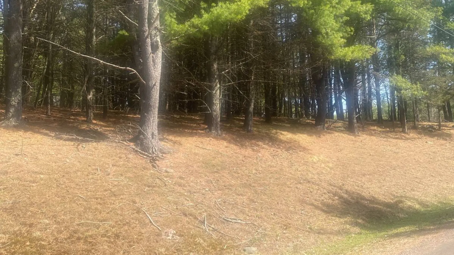 Property at 0 Whispering Pines Drive, Gilboa, NY 12076 3