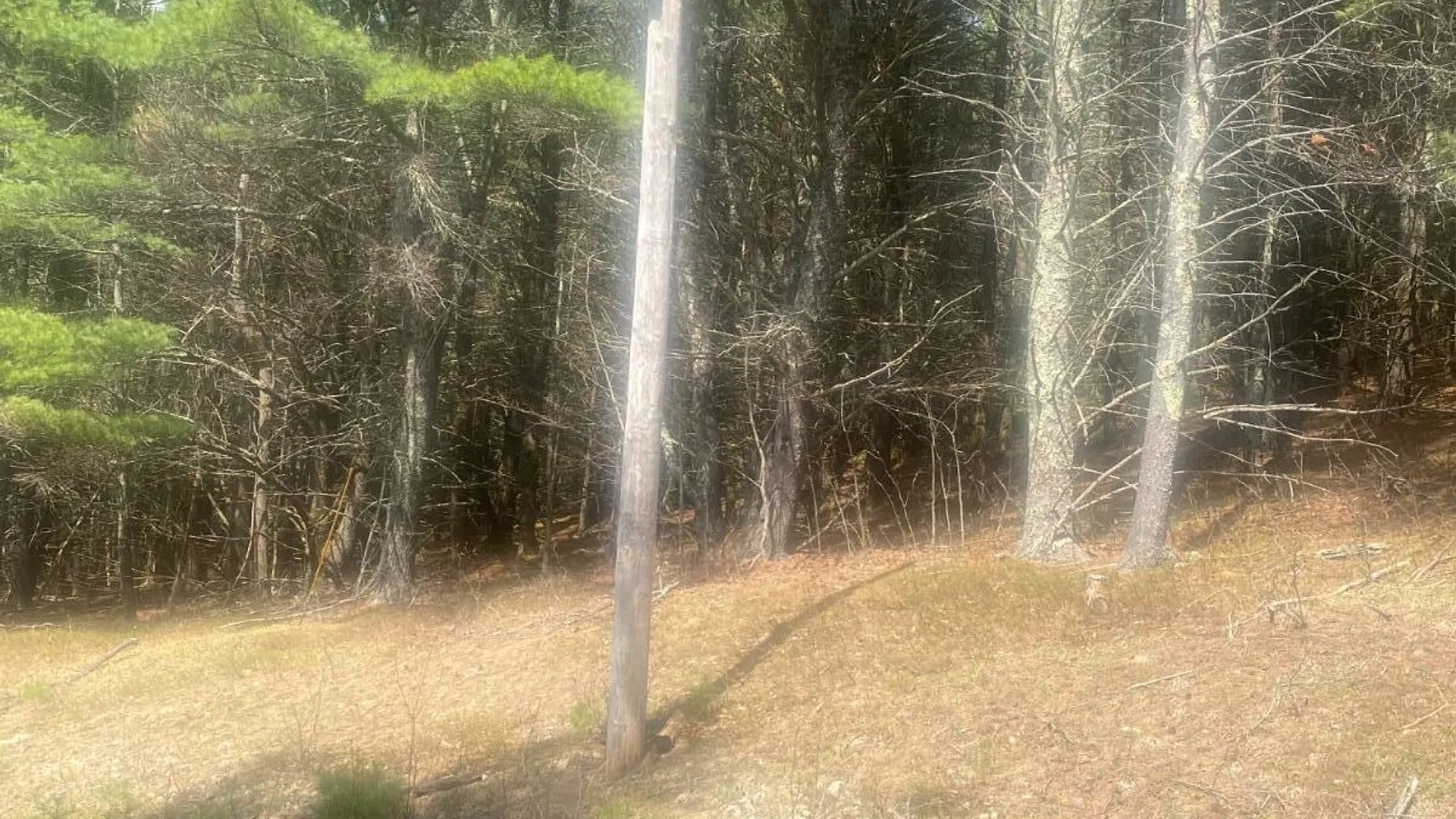 Property at 0 Whispering Pines Drive, Gilboa, NY 12076 4