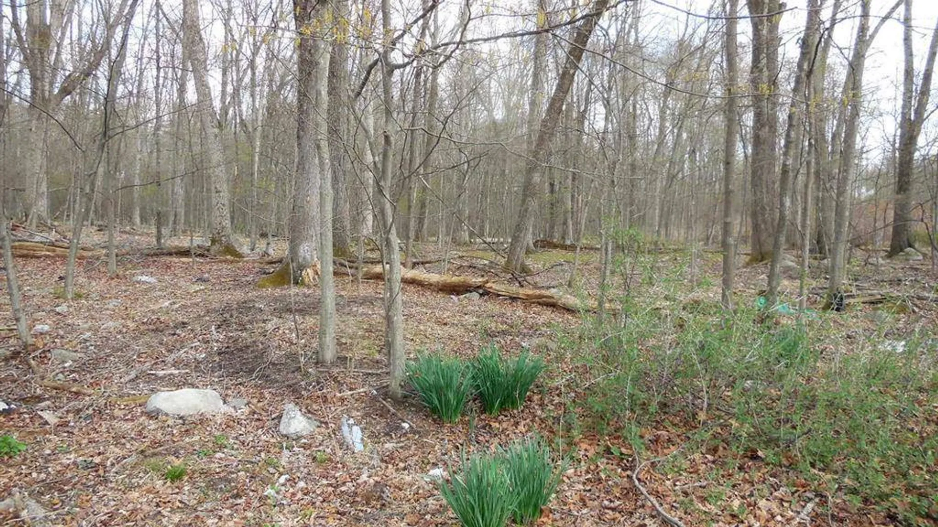 Property at 213 Lake Shore Dr, Pine Bush, NY 12566 22