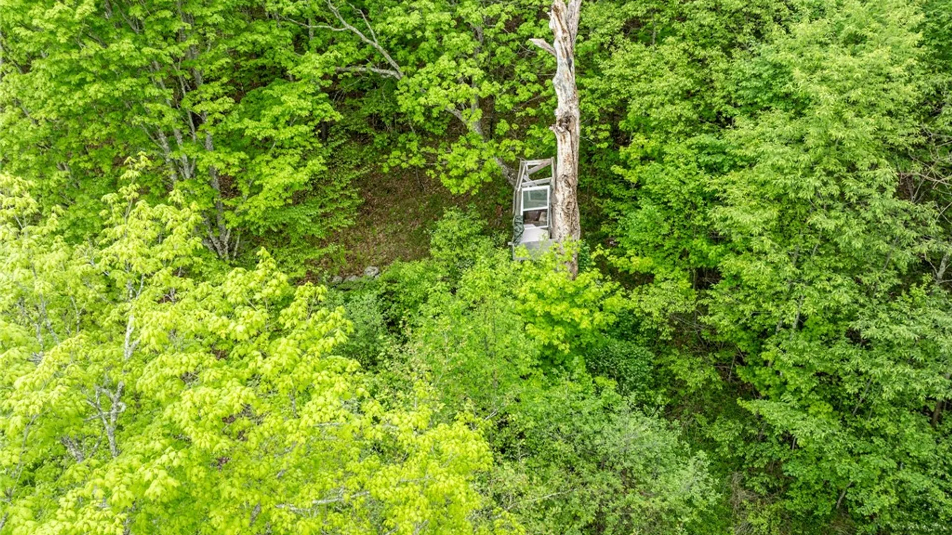 Property at 471 Frank Slawson Road, Davenport, NY 13755 13