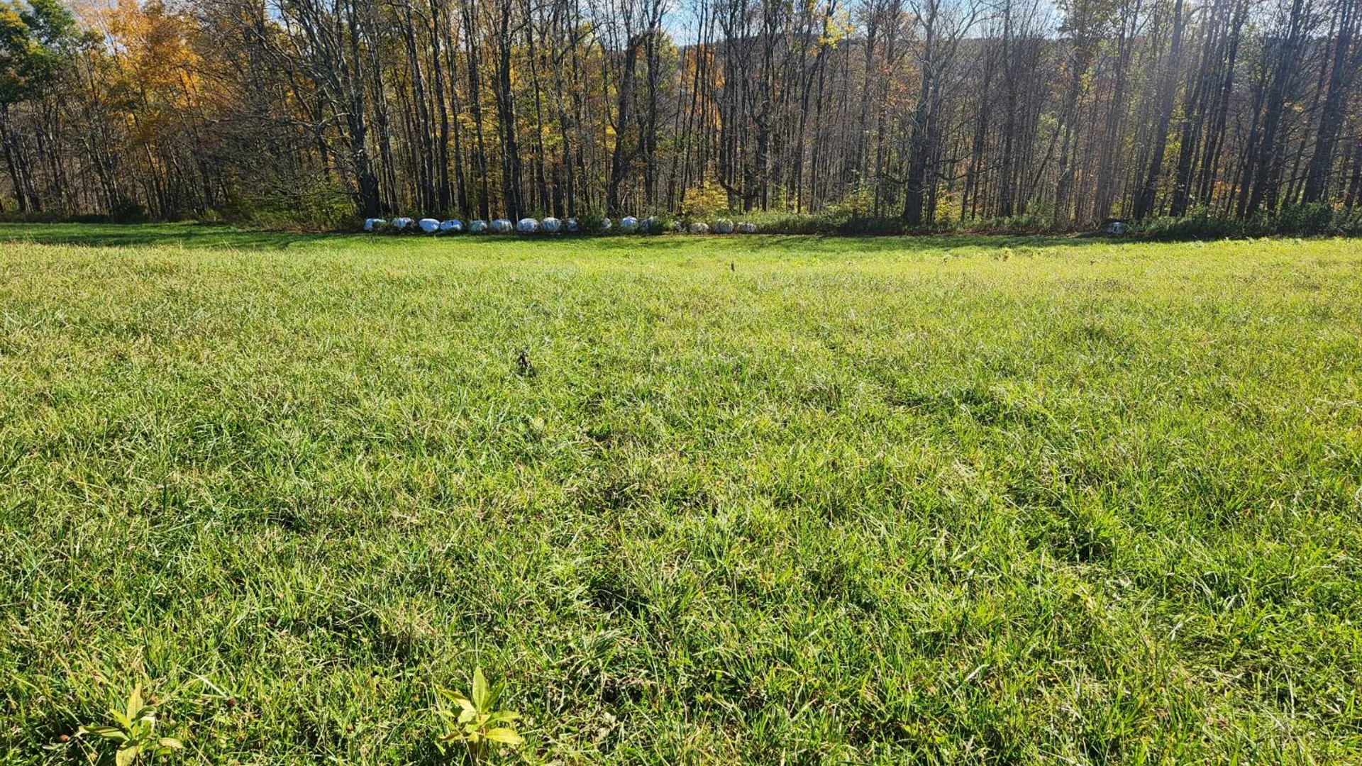 Property at 000 Hoffman Road, Guilford, NY 13780 3