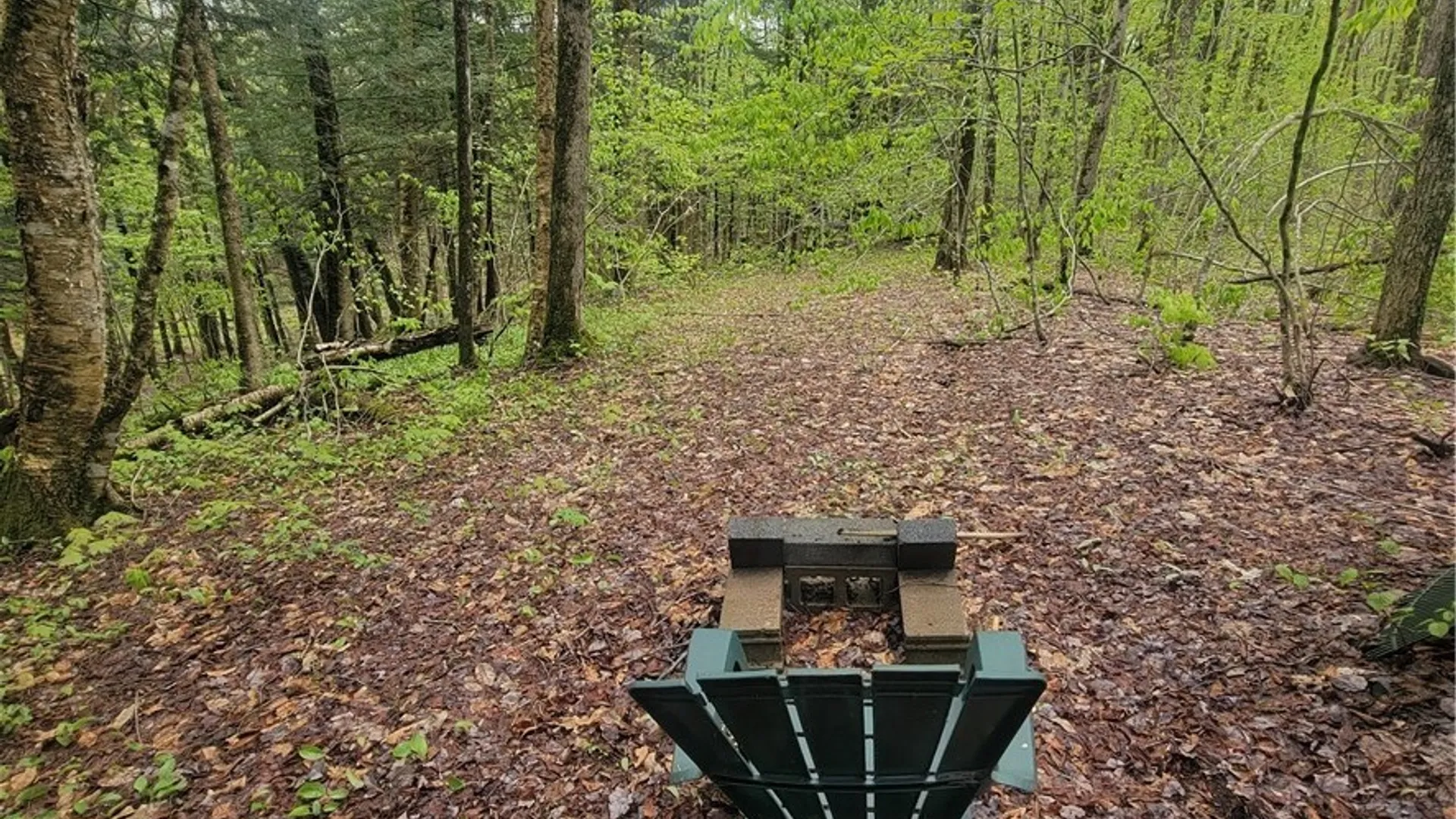 Property at 0 Dolly Road, Florence, NY 13316 6