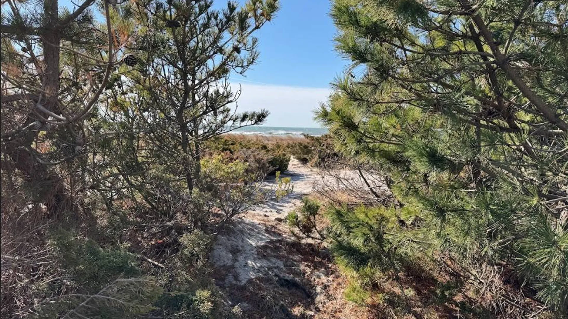 Property at 301 Lewis Walk, Cherry Grove, NY 11782 25