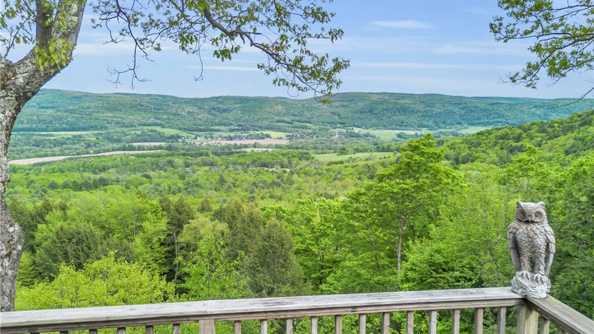 Property at 180 Campbell Hill Road, Middlefield, NY 13326 5