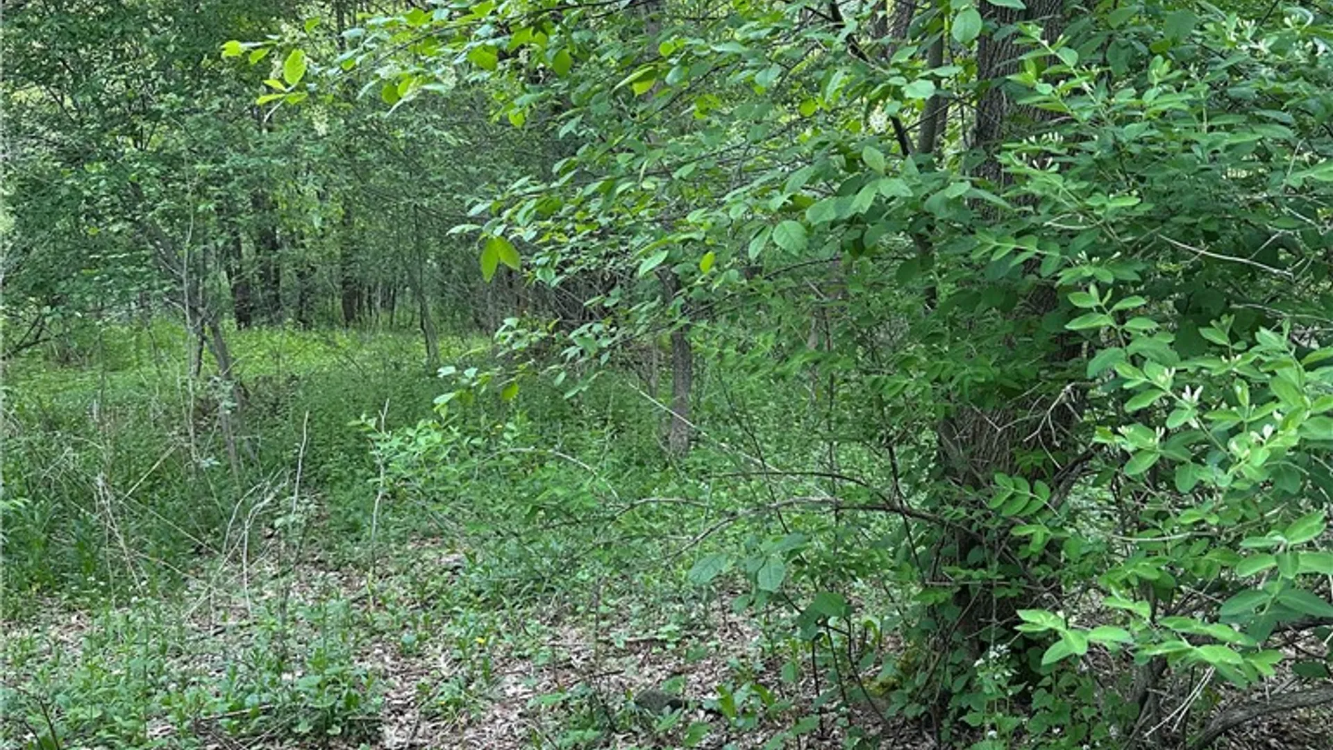 Property at 2097 County Highway 35, Masonville, NY 13849 15