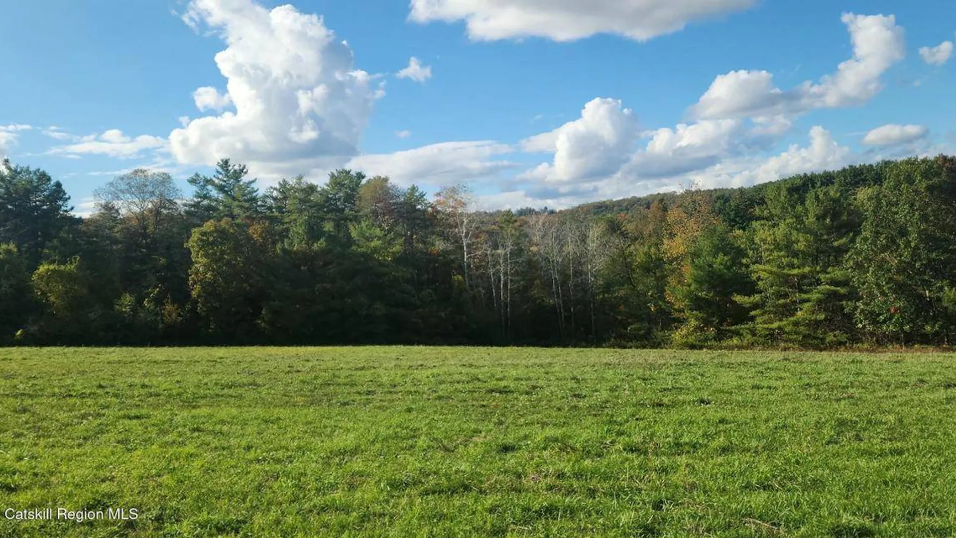 Property at 0 Cunningham and Cochrane Rd, Durham, NY 12422 10