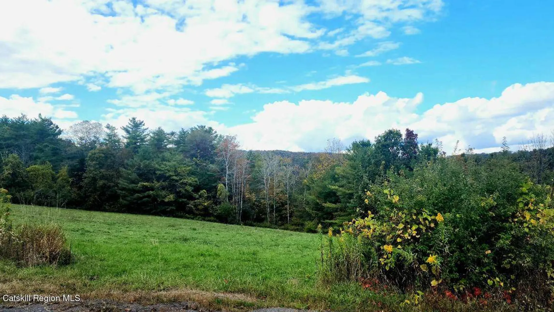 Property at 0 Cunningham and Cochrane Rd, Durham, NY 12422 11