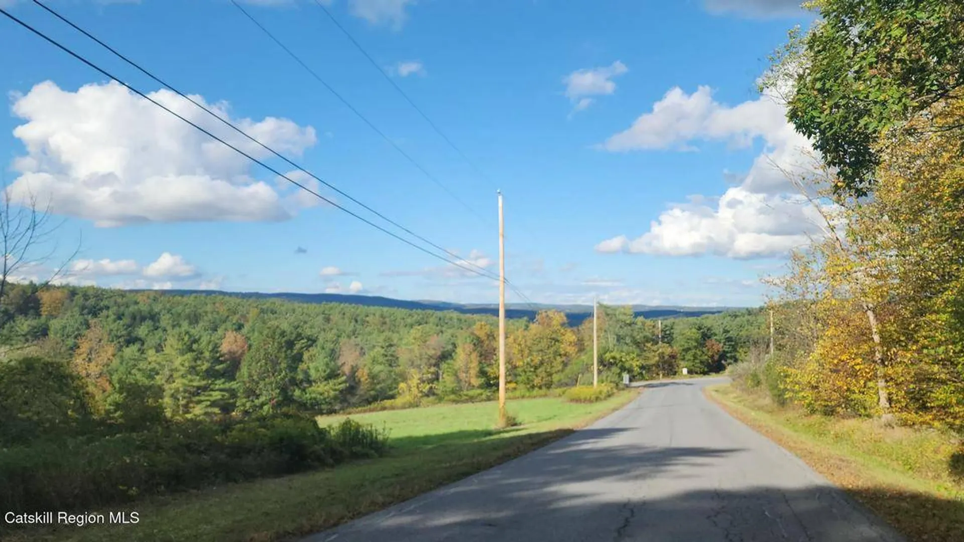 Property at 0 Cunningham and Cochrane Rd, Durham, NY 12422 14