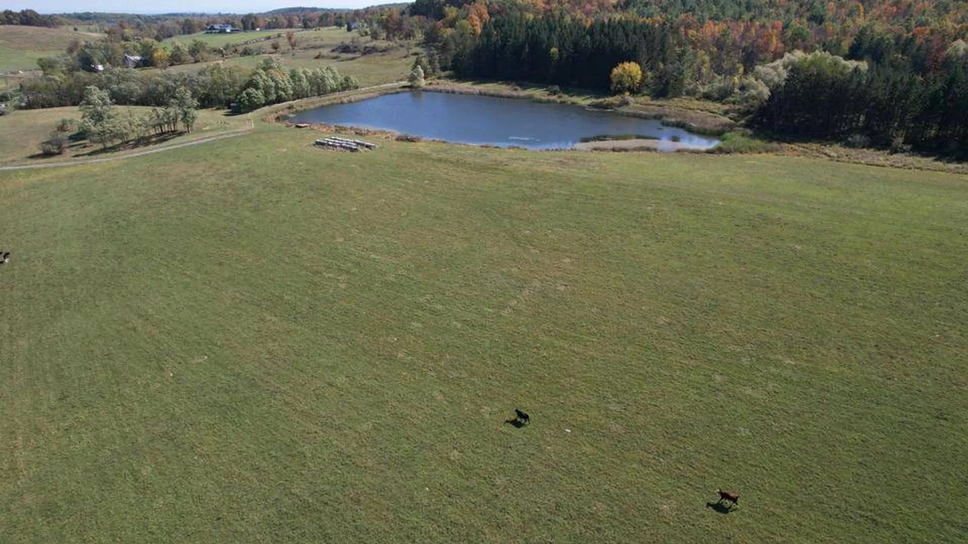 Property at 0 Cunningham and Cochrane Rd, Durham, NY 12422 15