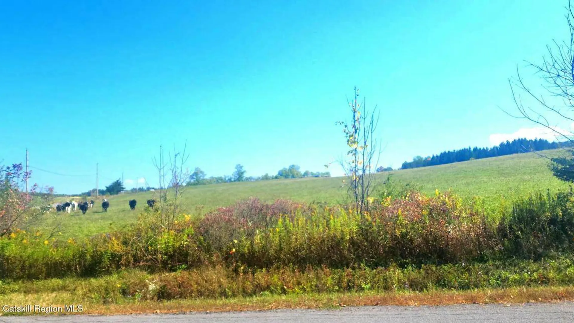 Property at 0 Cunningham and Cochrane Rd, Durham, NY 12422 6