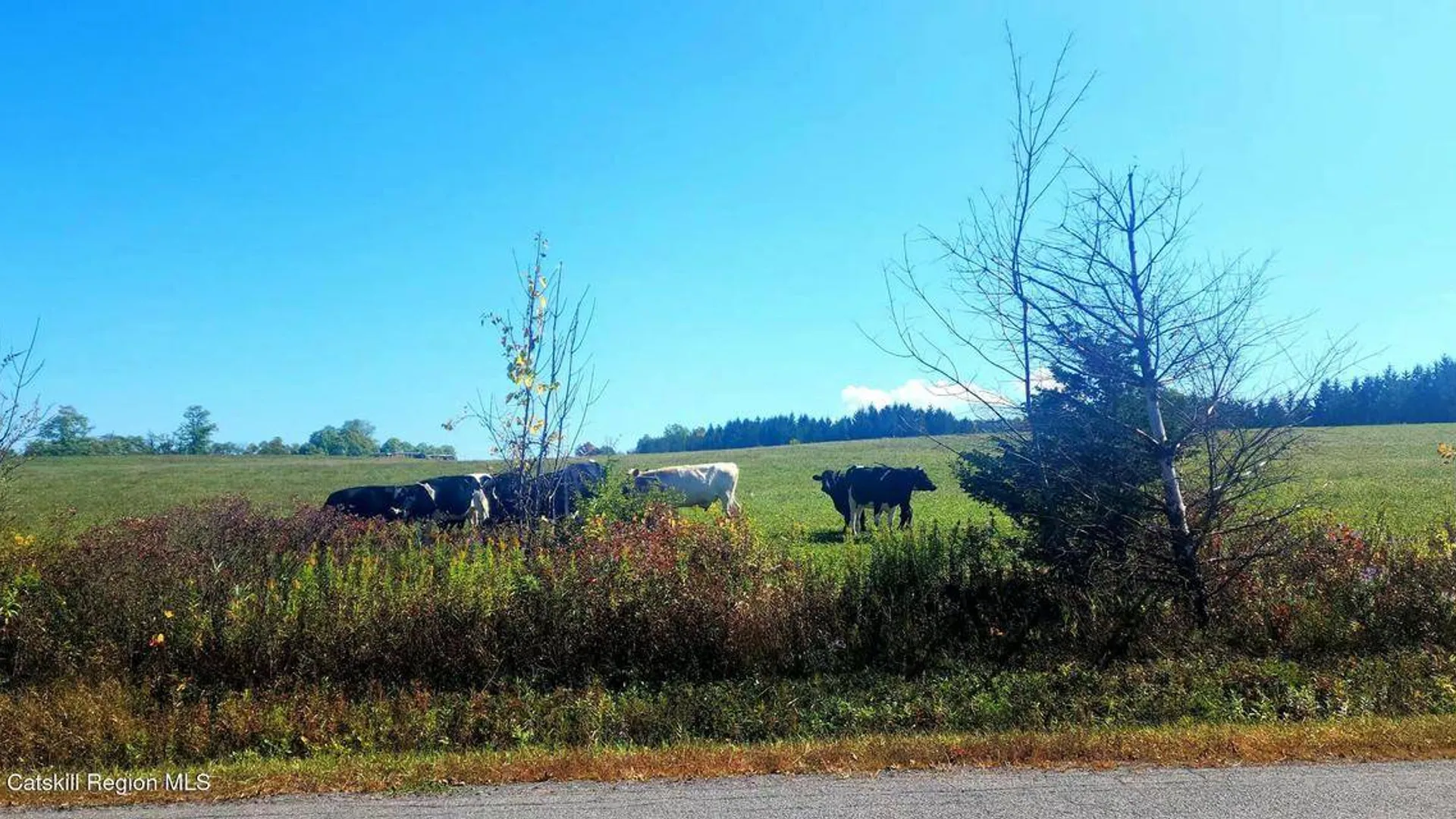 Property at 0 Cunningham and Cochrane Rd, Durham, NY 12422 7