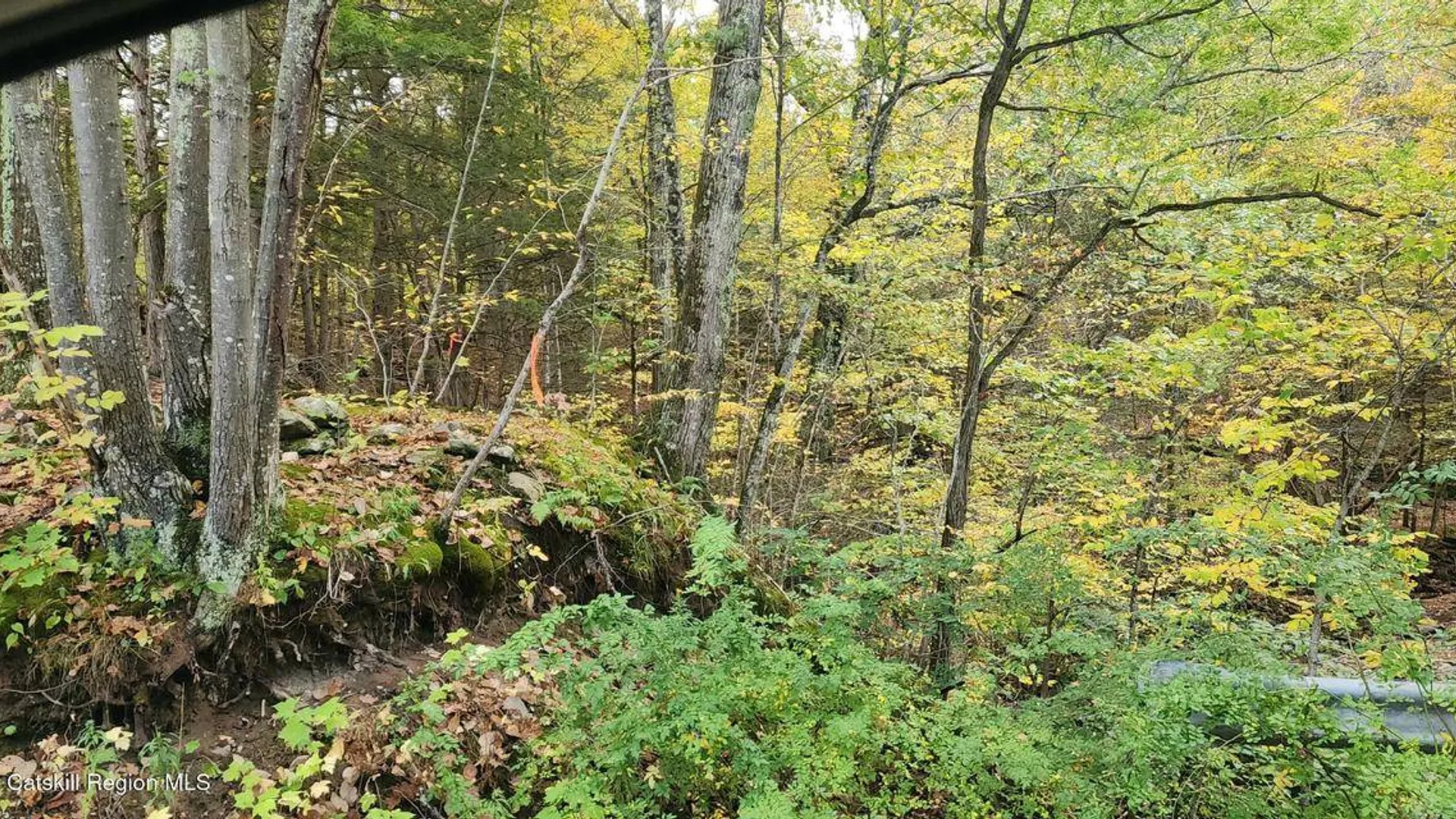 Property at 0 Cunningham and Cochrane Rd, Durham, NY 12422 8