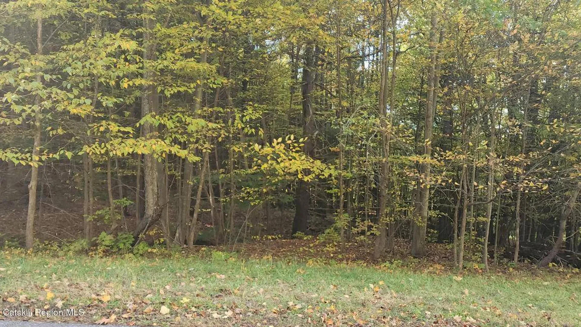 Property at 0 Cunningham and Cochrane Rd, Durham, NY 12422 9