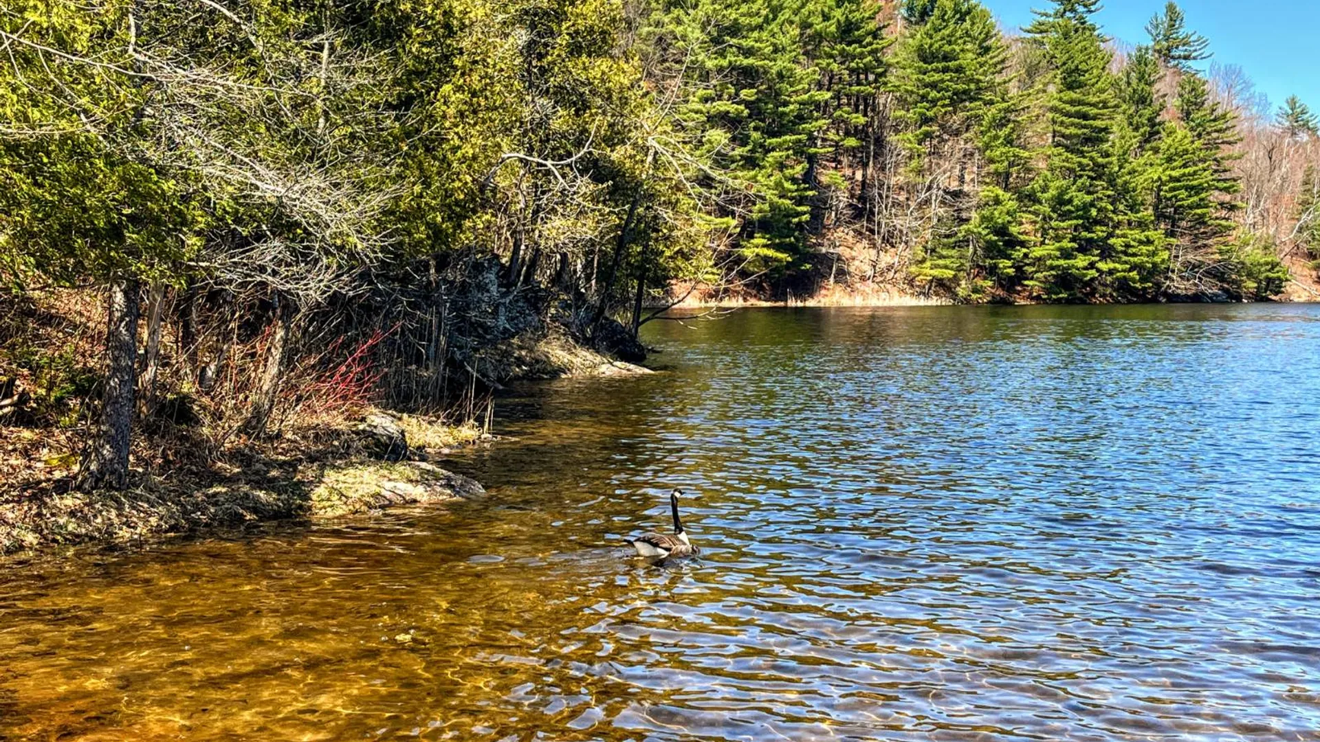 Property at 11 Fletcher Road, Edwards, NY 13635 17