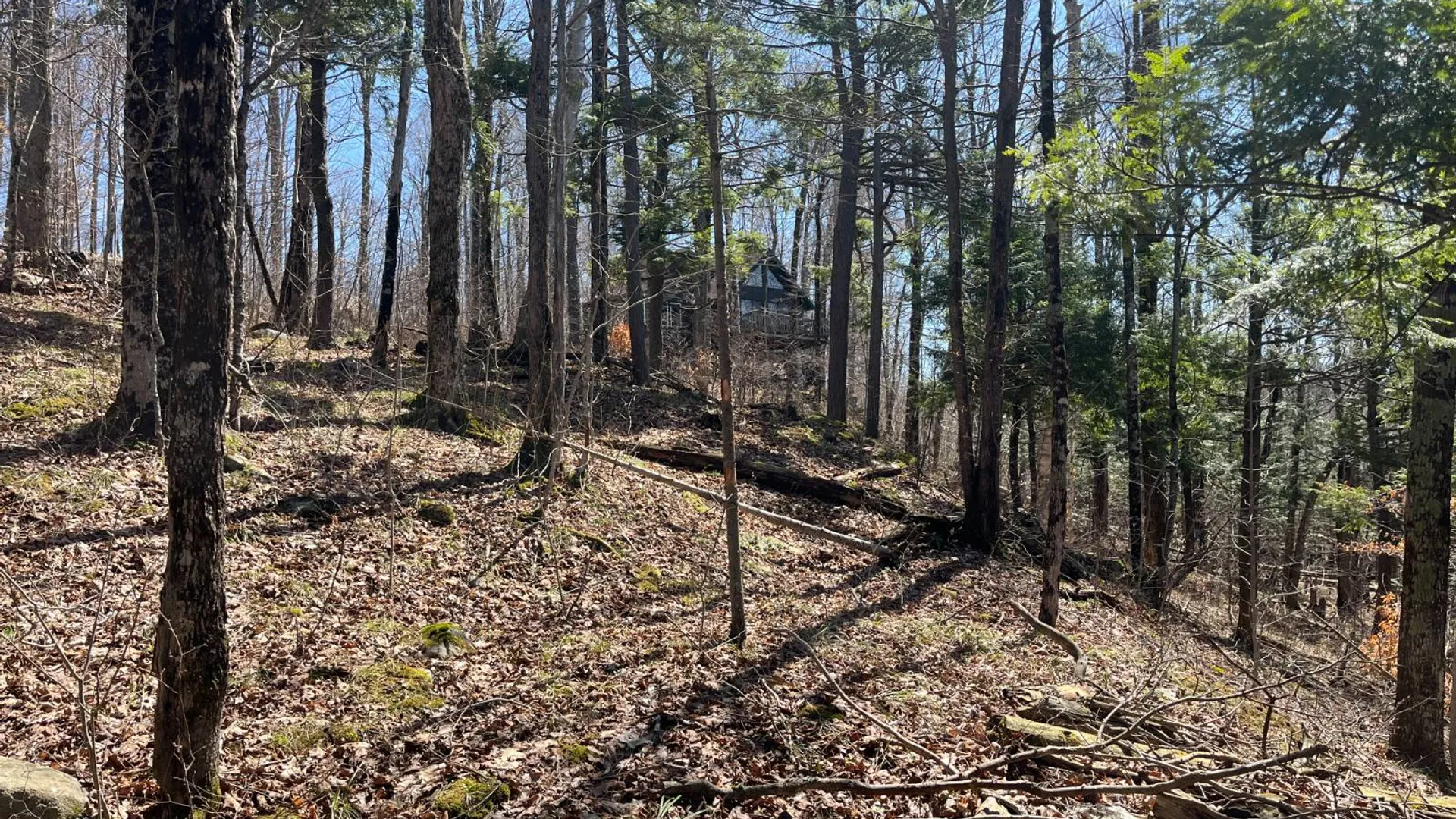 Property at 11 Fletcher Road, Edwards, NY 13635 28