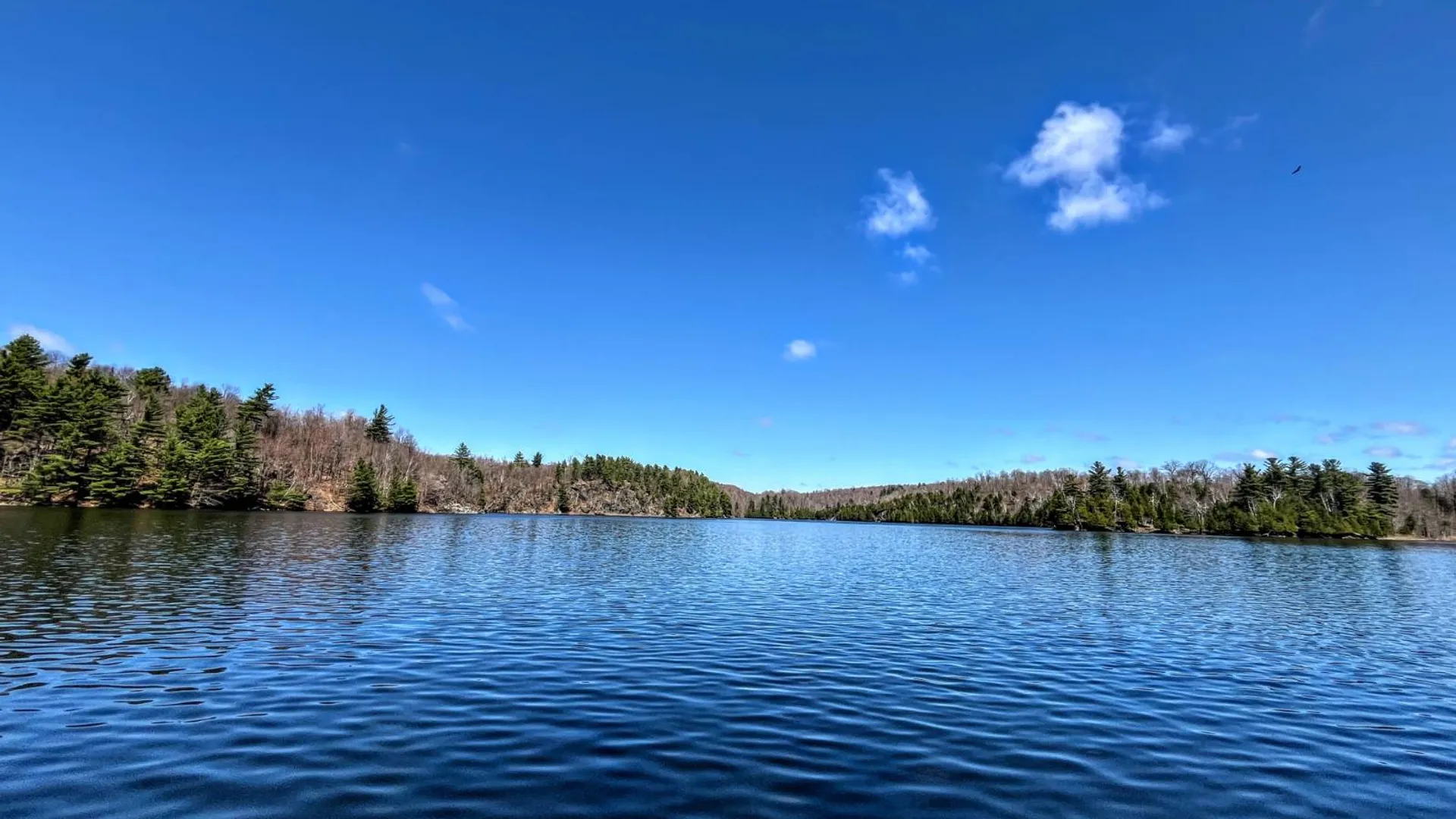 Property at 11 Fletcher Road, Edwards, NY 13635 3
