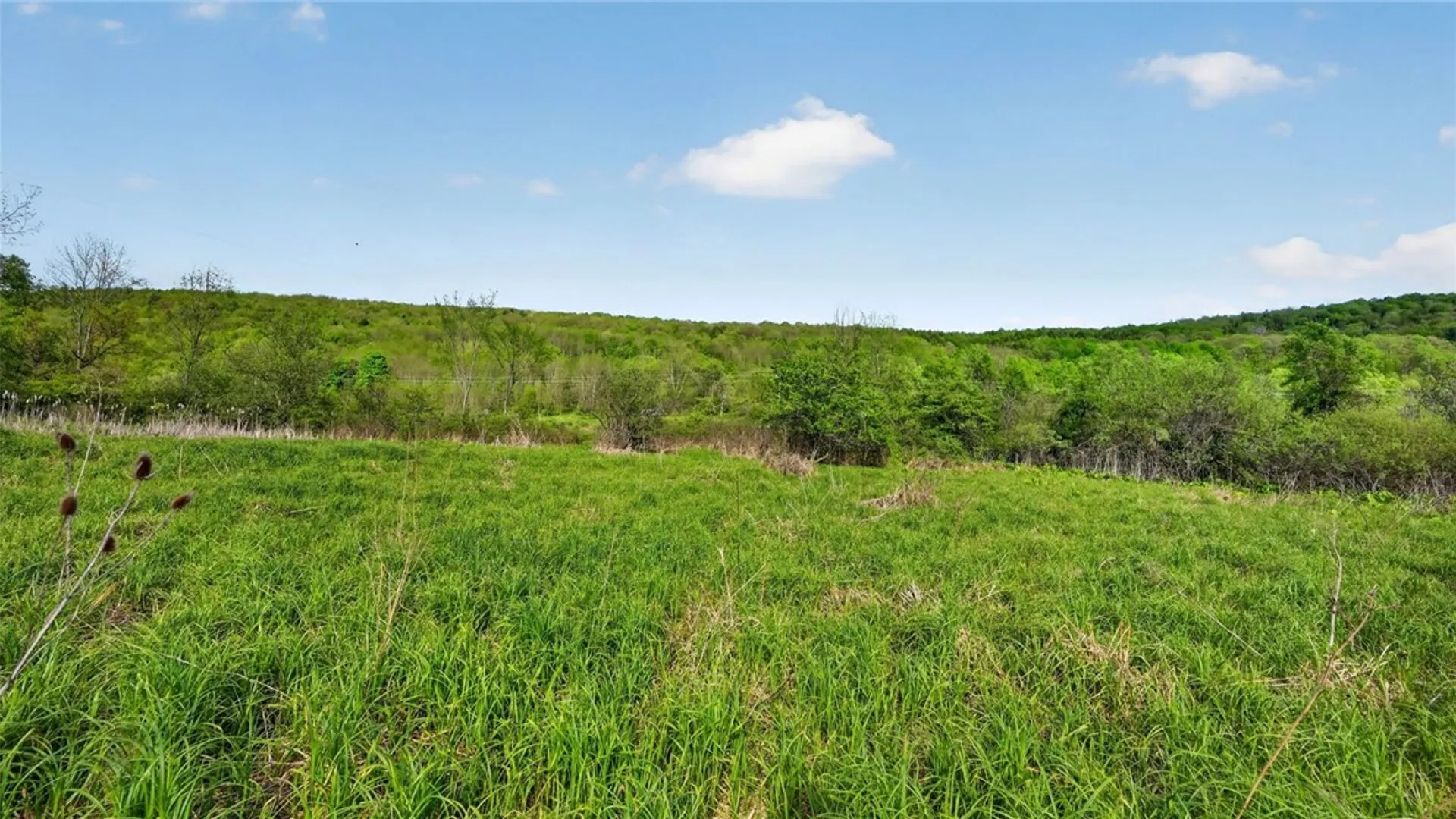 Property at 2656 County Highway 18, Pittsfield, NY 13411 28