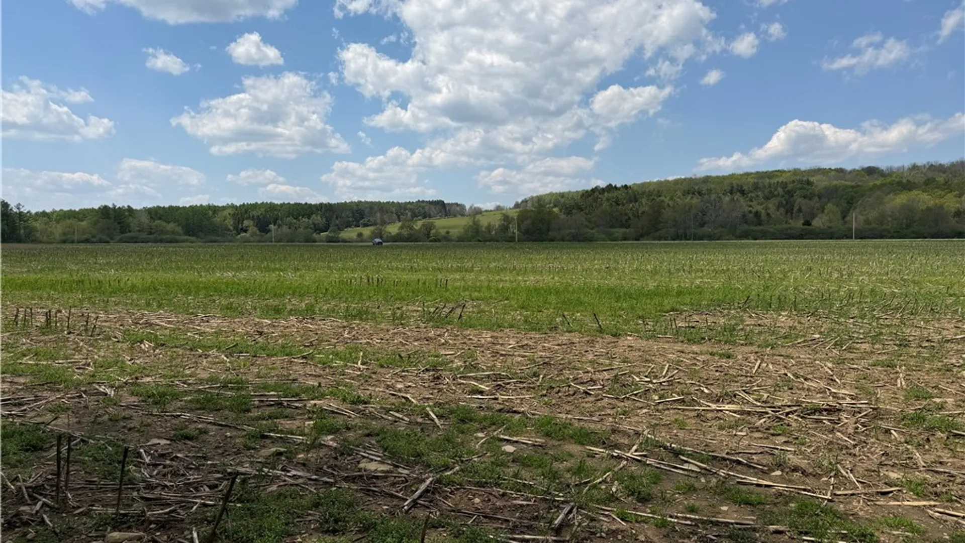 Property at Lot 03 County Road 16, Grove, NY 14884 36