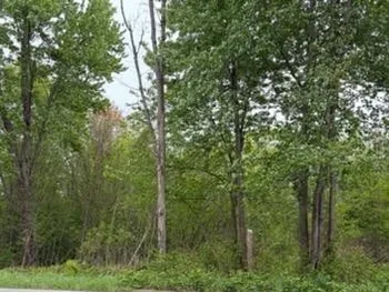 Property at Rt-13, Vienna, NY 13308