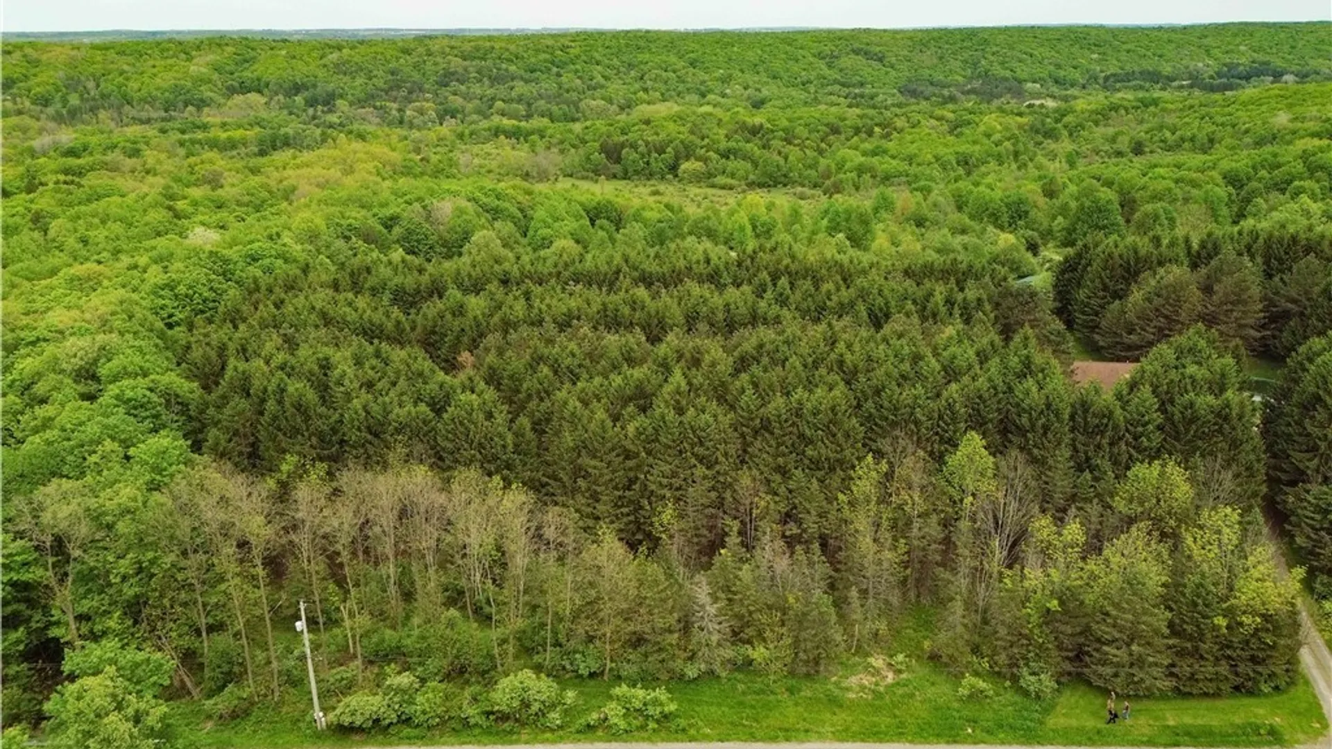 Property at VL Vermont Hill Road, Wales, NY 14139 2