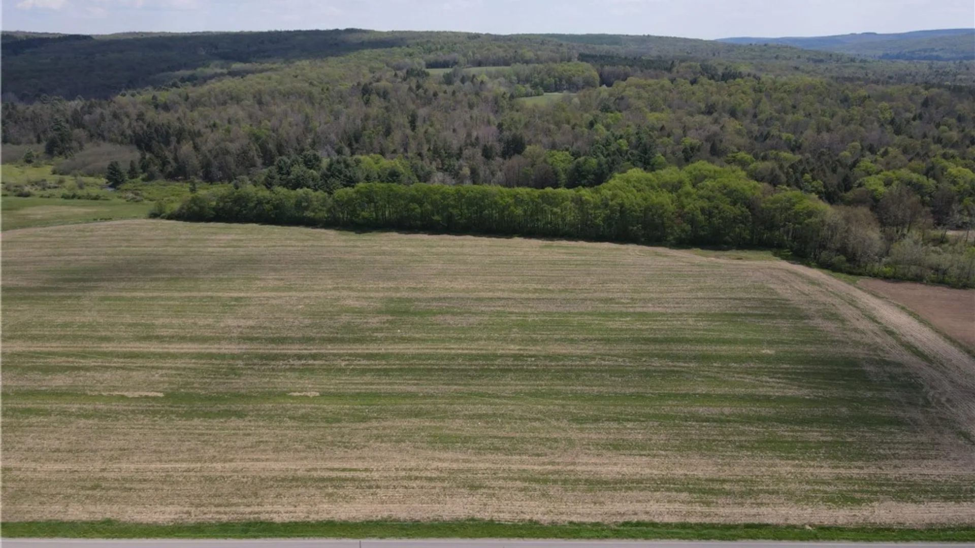 Property at Lot 2 County Road 16, Grove, NY 14884 2