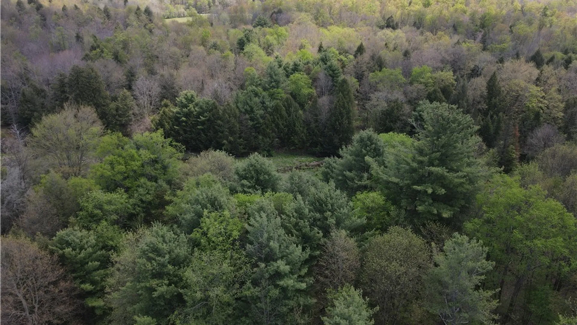 Property at Lot 2 County Road 16, Grove, NY 14884 38