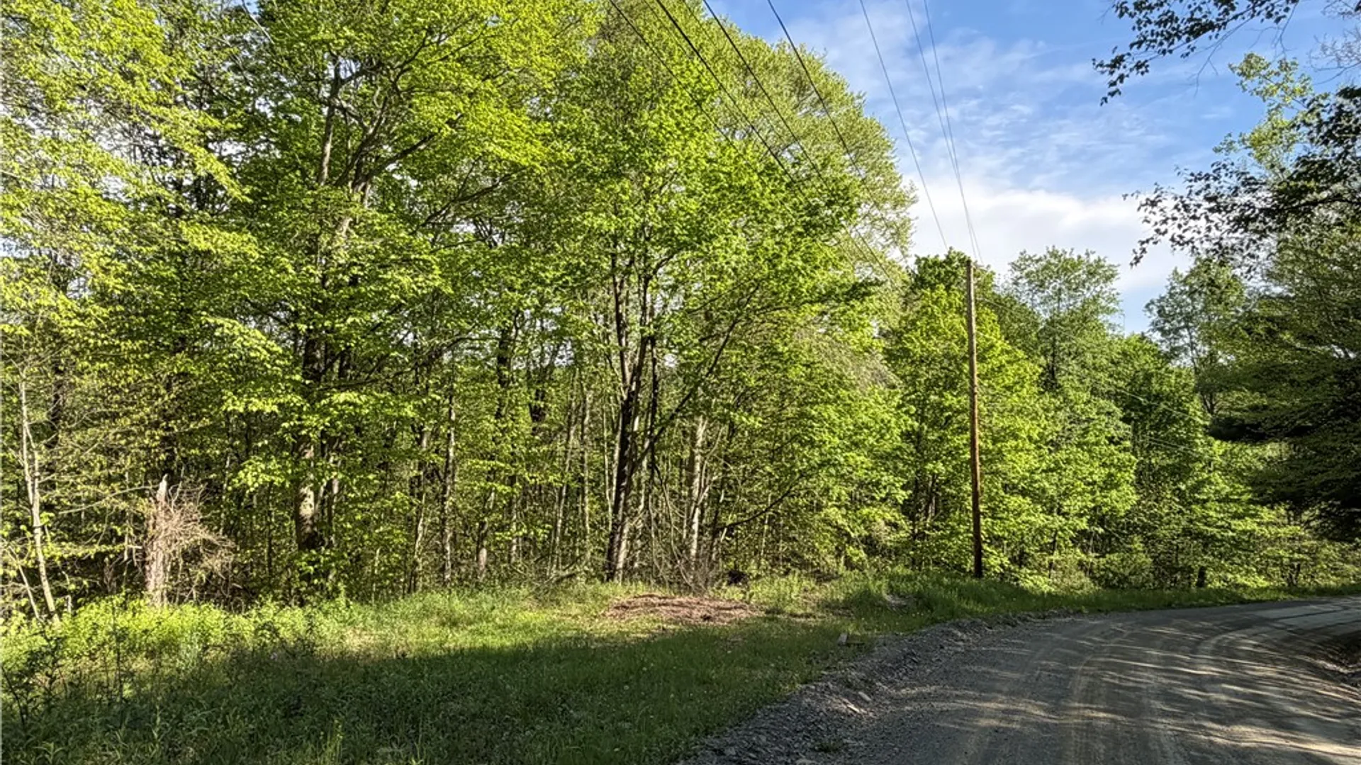 Property at VL Lot 1 Dry Run Road, Hornby, NY 14812 10
