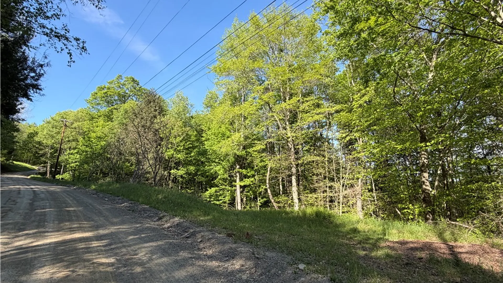 Property at VL Lot 1 Dry Run Road, Hornby, NY 14812 11