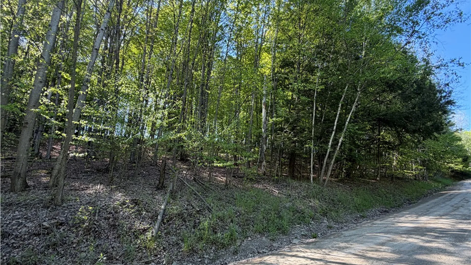 Property at VL Lot 1 Dry Run Road, Hornby, NY 14812 12