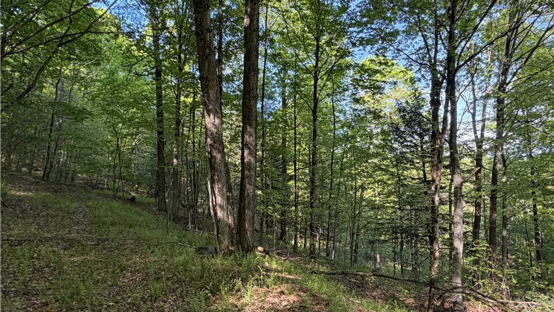 Property at VL Lot 1 Dry Run Road, Hornby, NY 14812 16