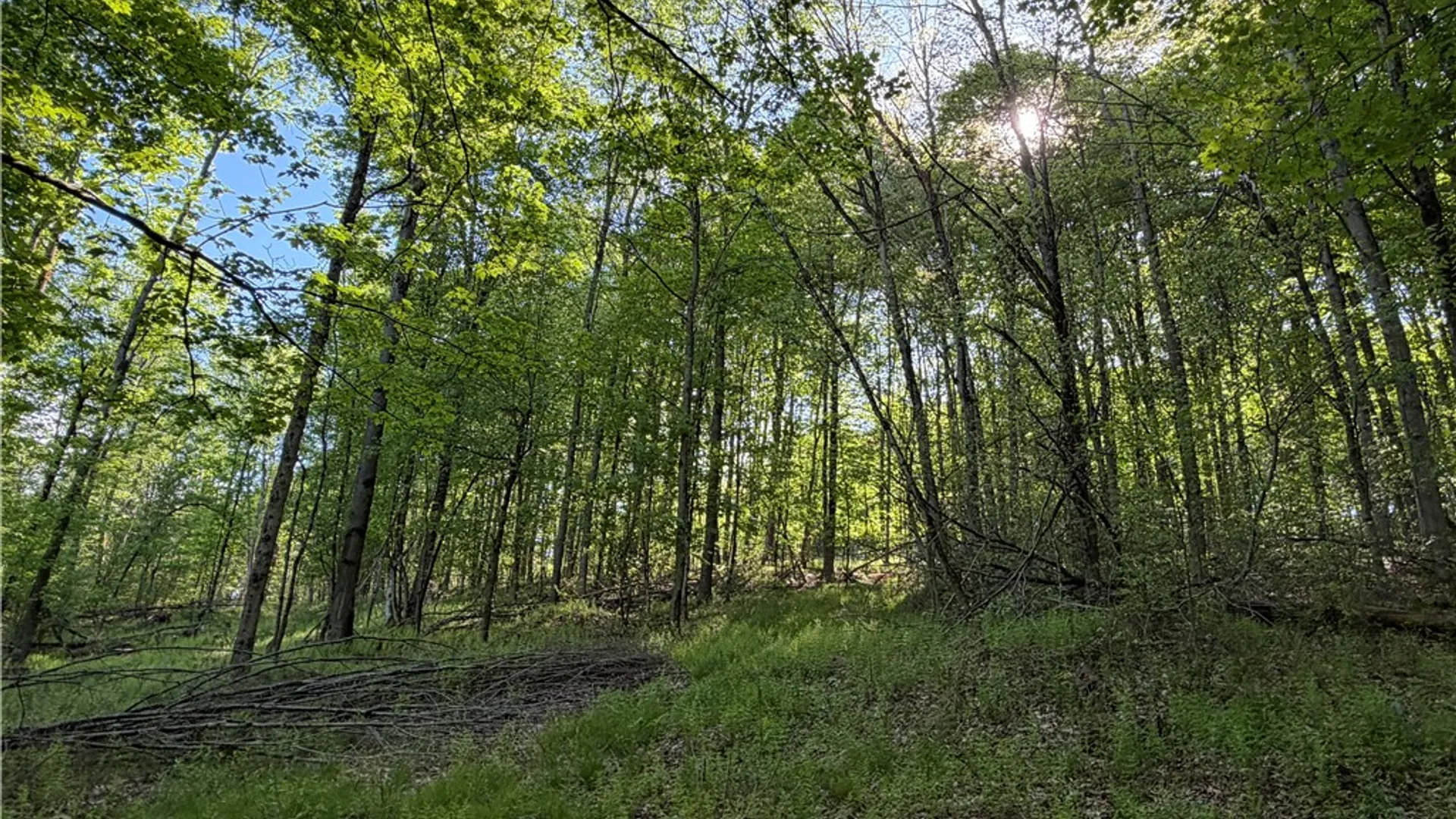 Property at VL Lot 1 Dry Run Road, Hornby, NY 14812 17