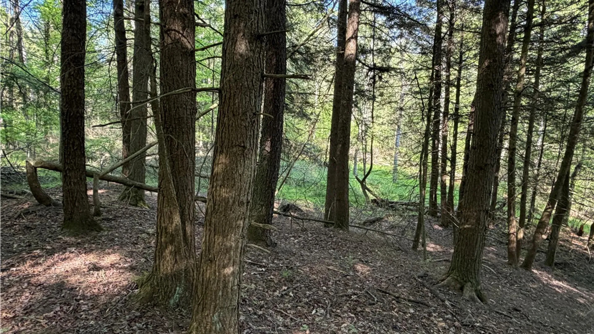 Property at VL Lot 1 Dry Run Road, Hornby, NY 14812 18