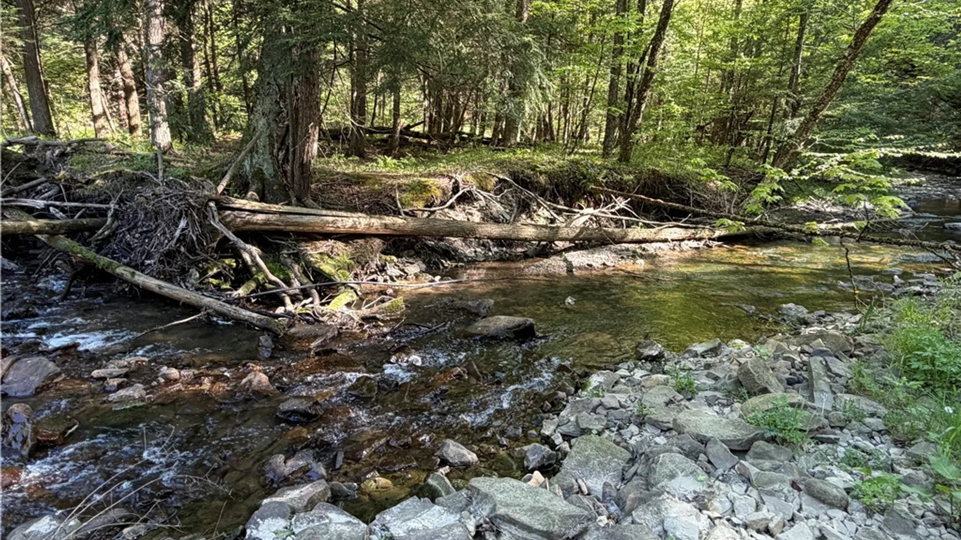 Property at VL Lot 1 Dry Run Road, Hornby, NY 14812 2