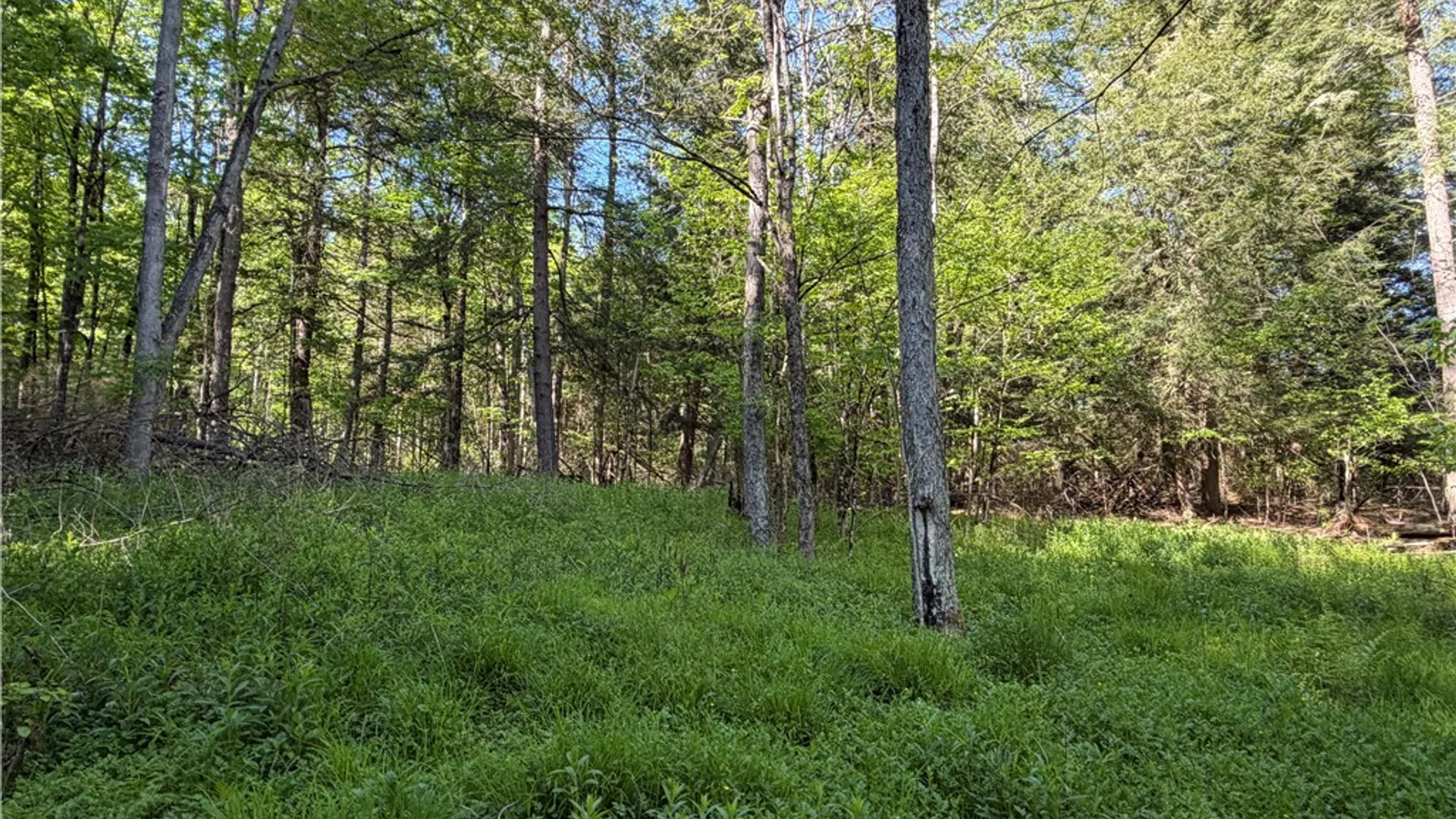 Property at VL Lot 1 Dry Run Road, Hornby, NY 14812 20