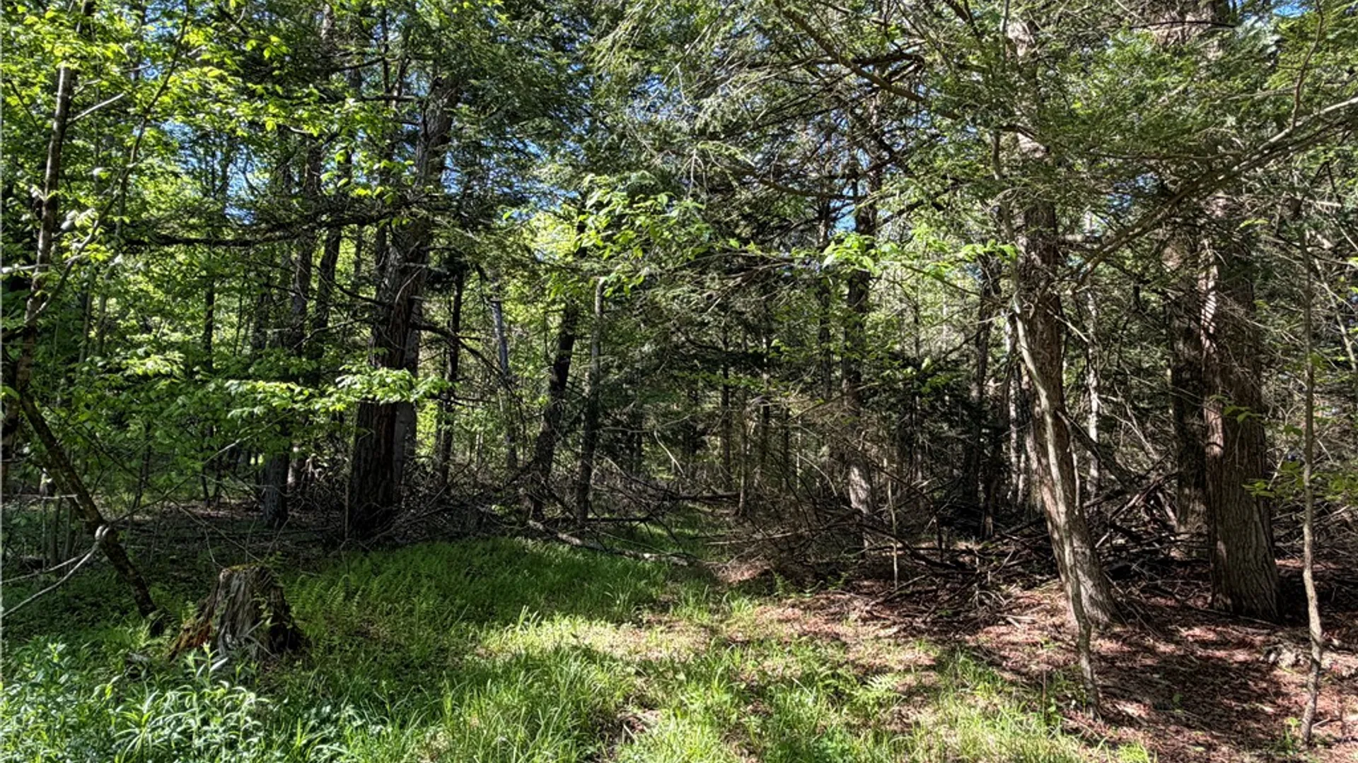 Property at VL Lot 1 Dry Run Road, Hornby, NY 14812 21