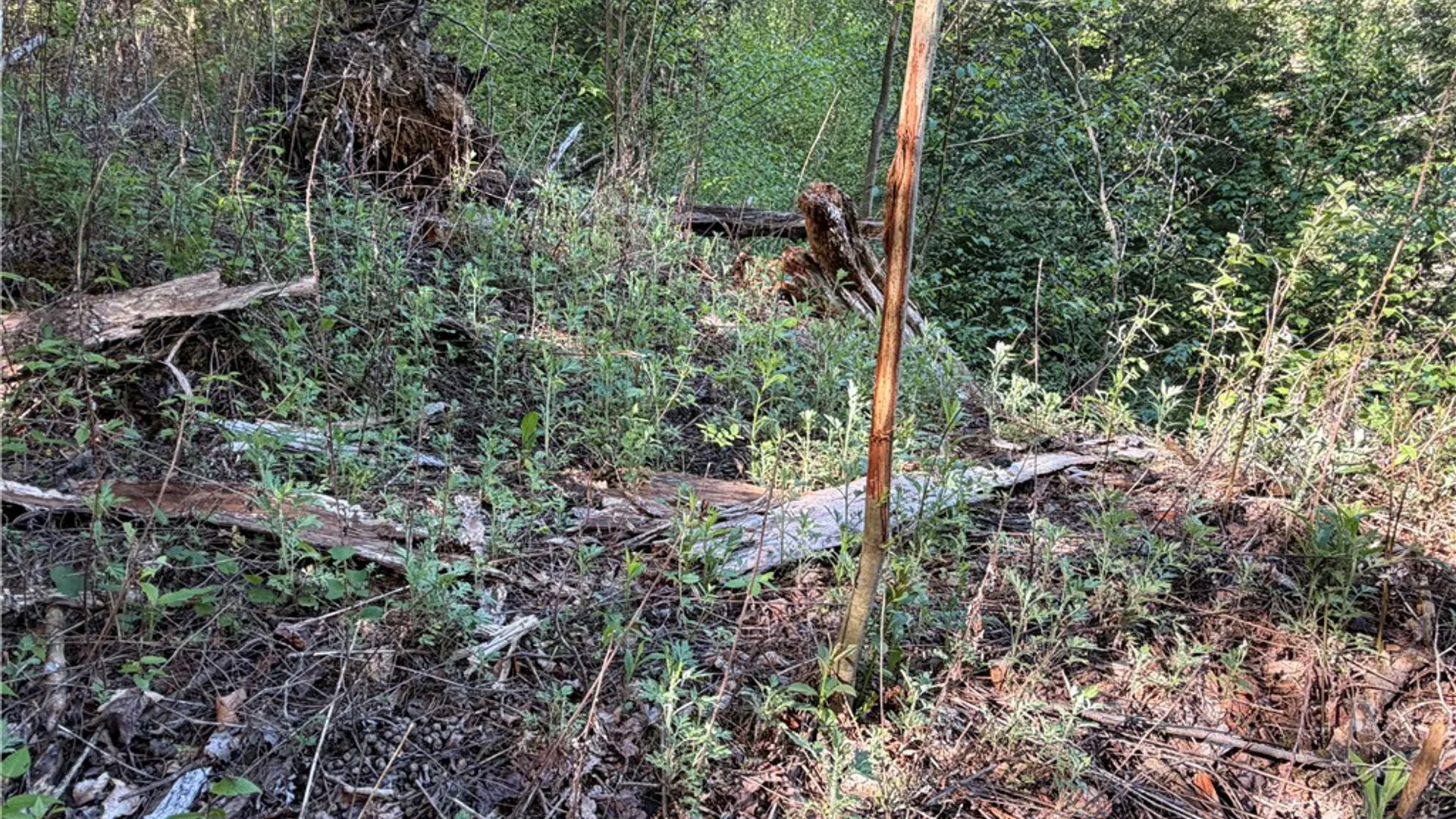 Property at VL Lot 1 Dry Run Road, Hornby, NY 14812 24