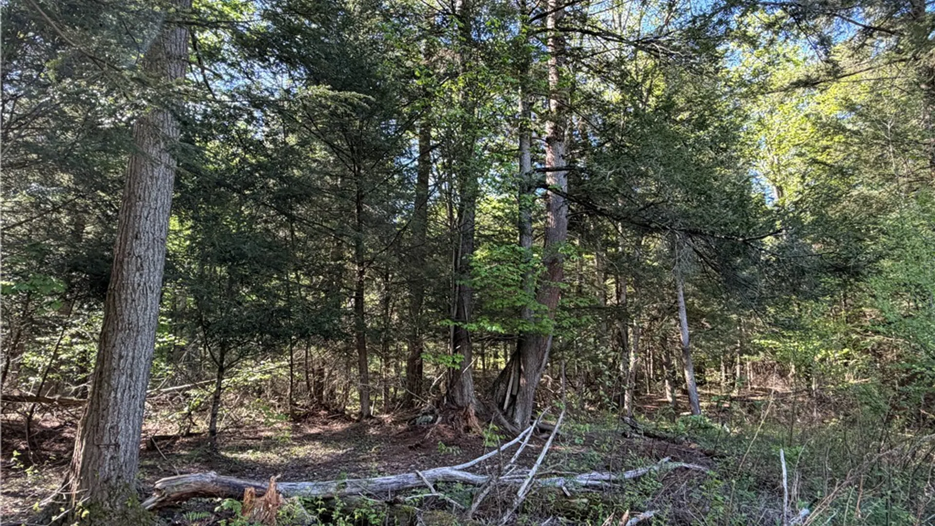 Property at VL Lot 1 Dry Run Road, Hornby, NY 14812 25