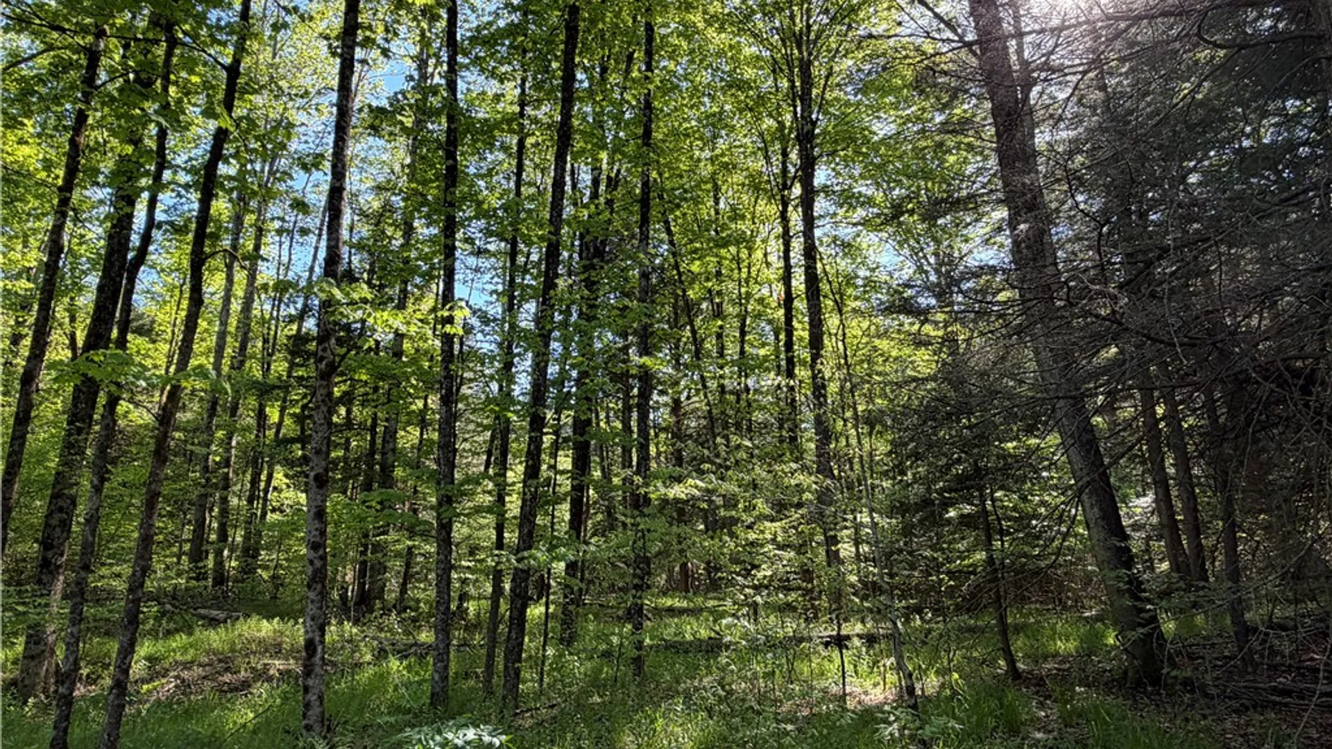 Property at VL Lot 1 Dry Run Road, Hornby, NY 14812 26