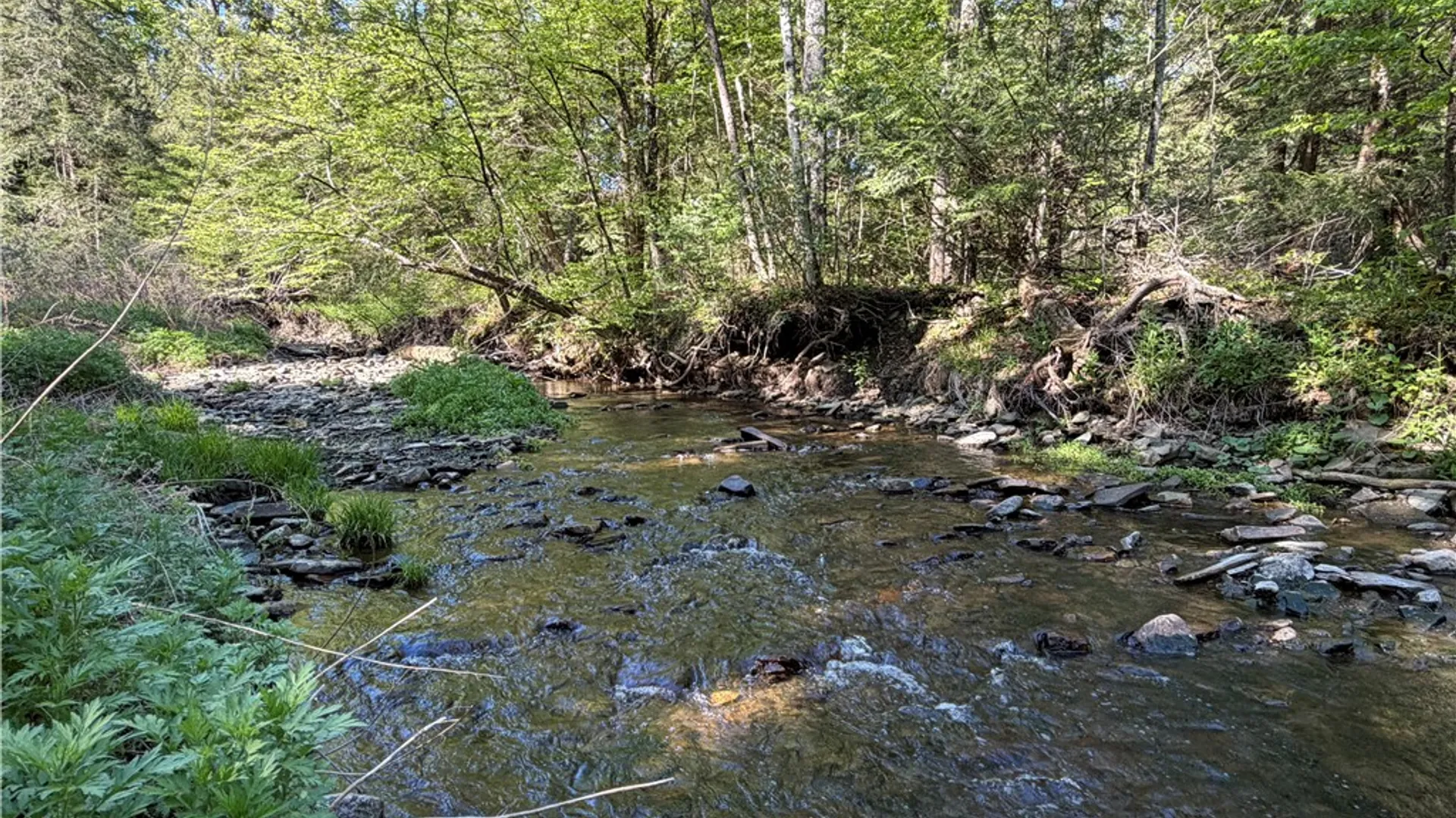 Property at VL Lot 1 Dry Run Road, Hornby, NY 14812 27