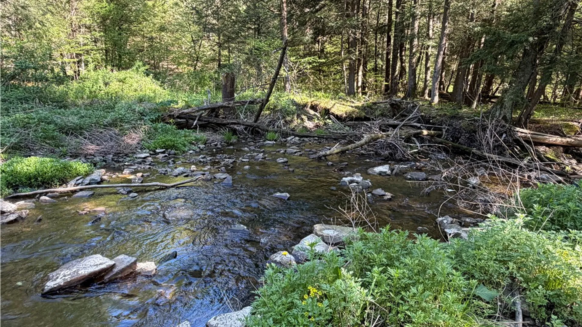Property at VL Lot 1 Dry Run Road, Hornby, NY 14812 28