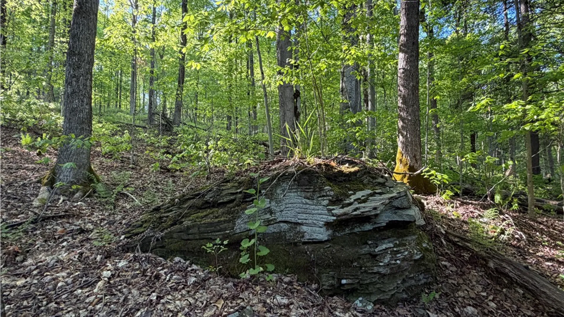 Property at VL Lot 1 Dry Run Road, Hornby, NY 14812 3
