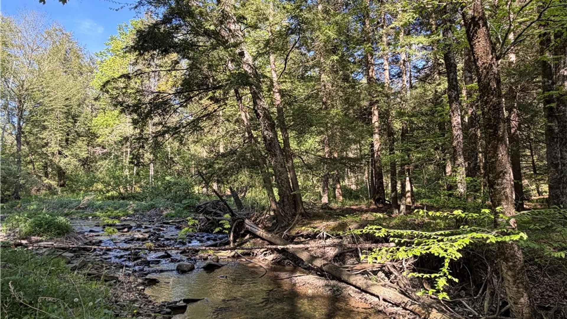 Property at VL Lot 1 Dry Run Road, Hornby, NY 14812 30