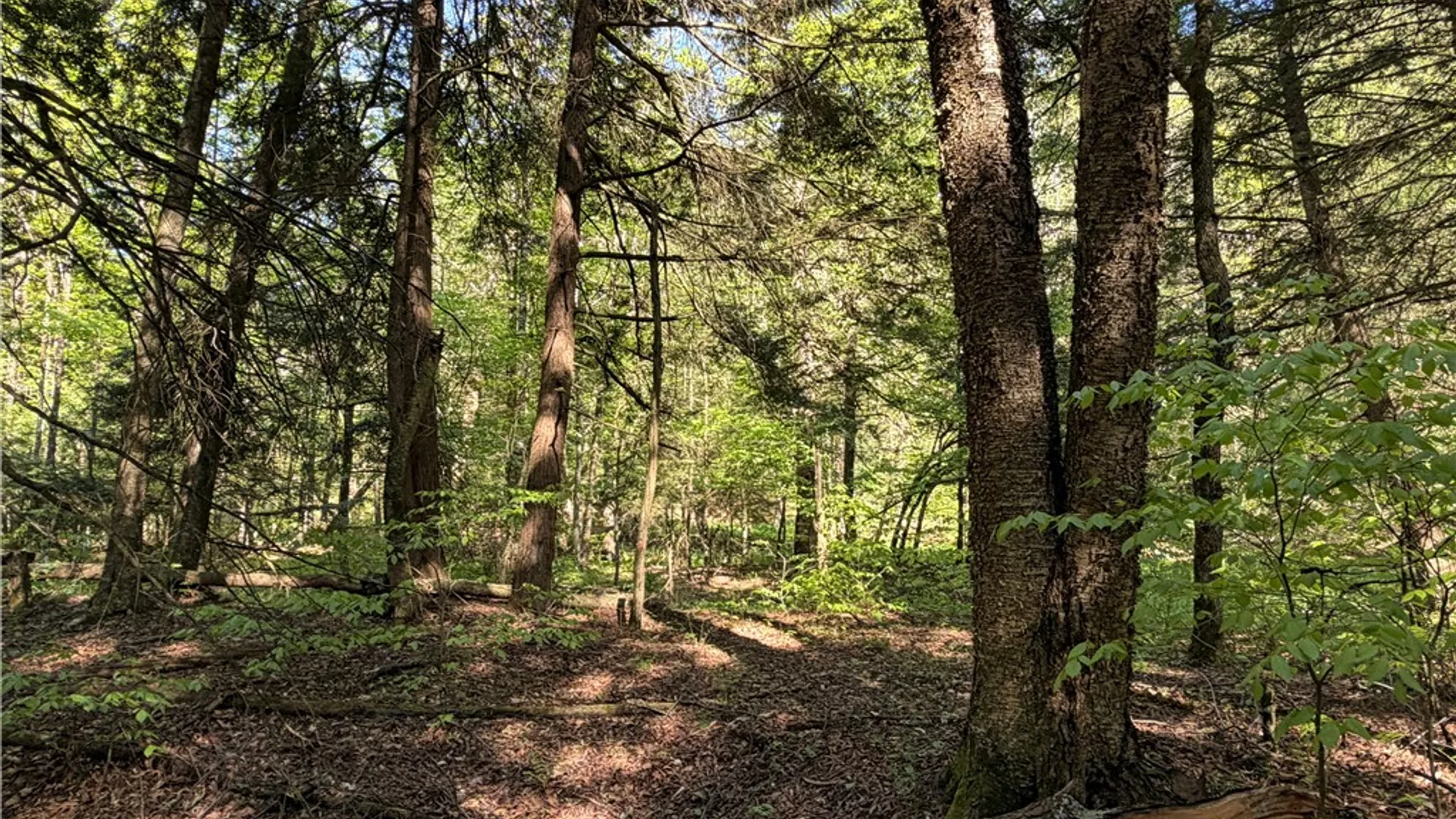 Property at VL Lot 1 Dry Run Road, Hornby, NY 14812 31
