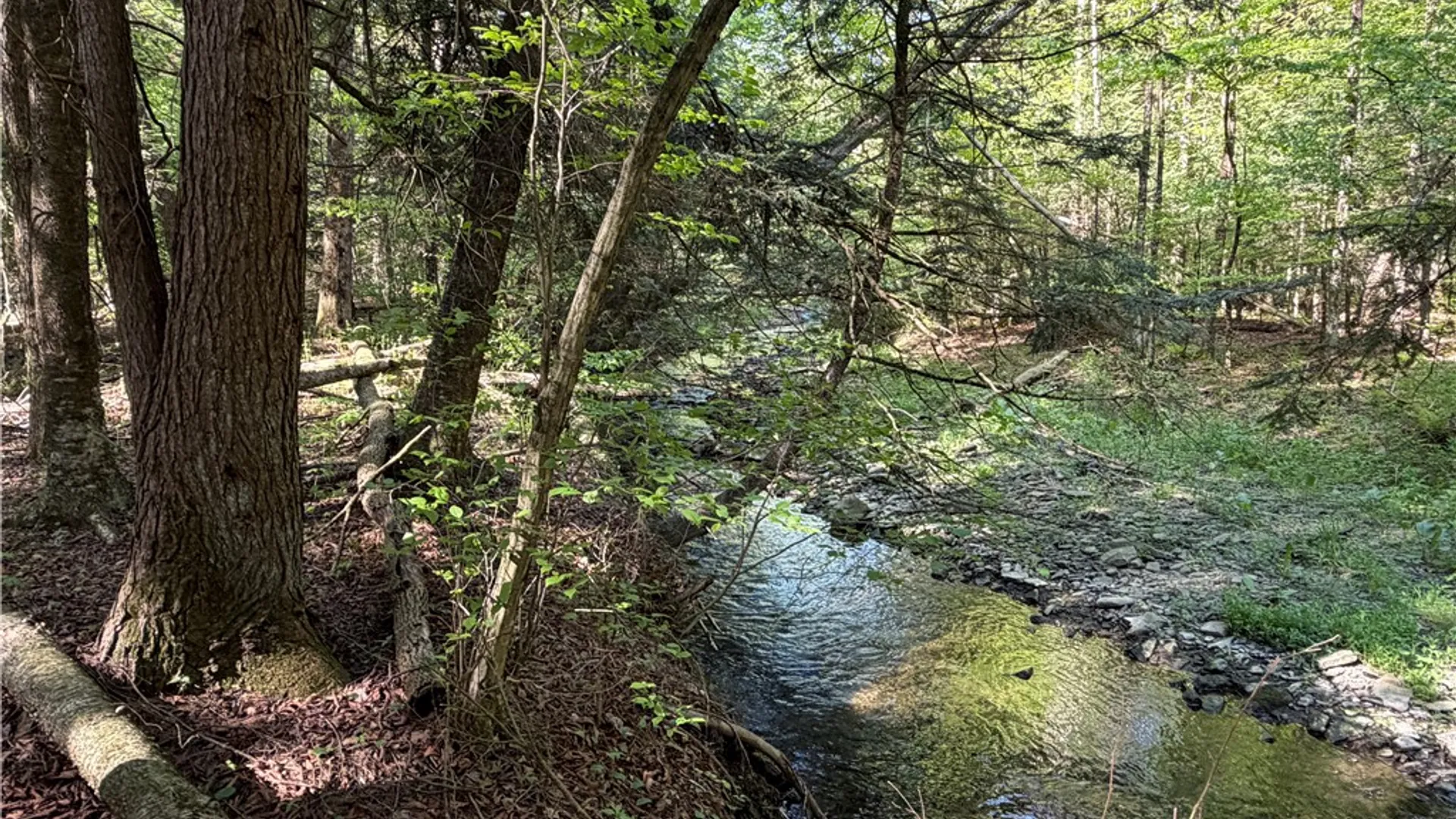 Property at VL Lot 1 Dry Run Road, Hornby, NY 14812 32