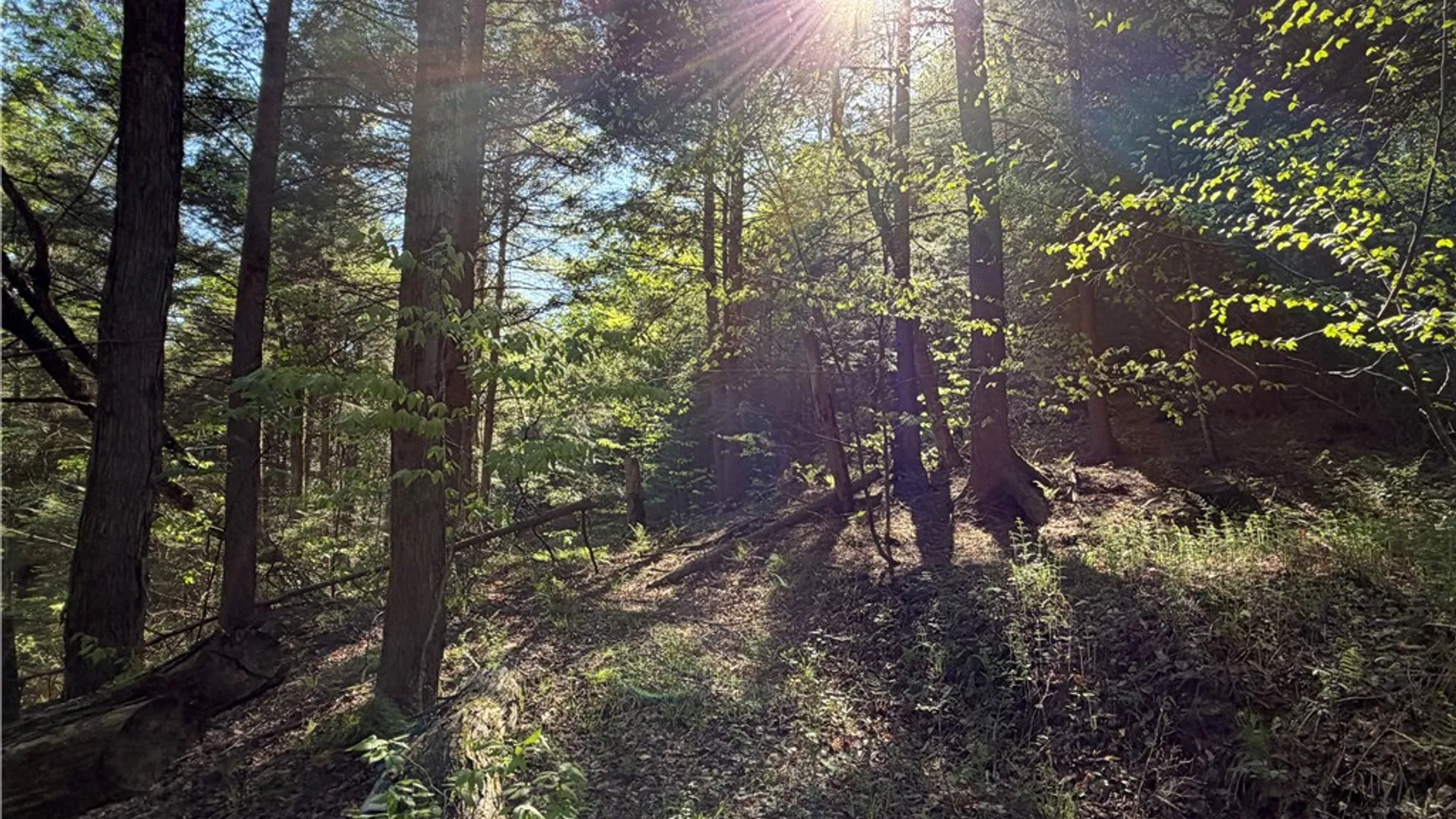 Property at VL Lot 1 Dry Run Road, Hornby, NY 14812 34