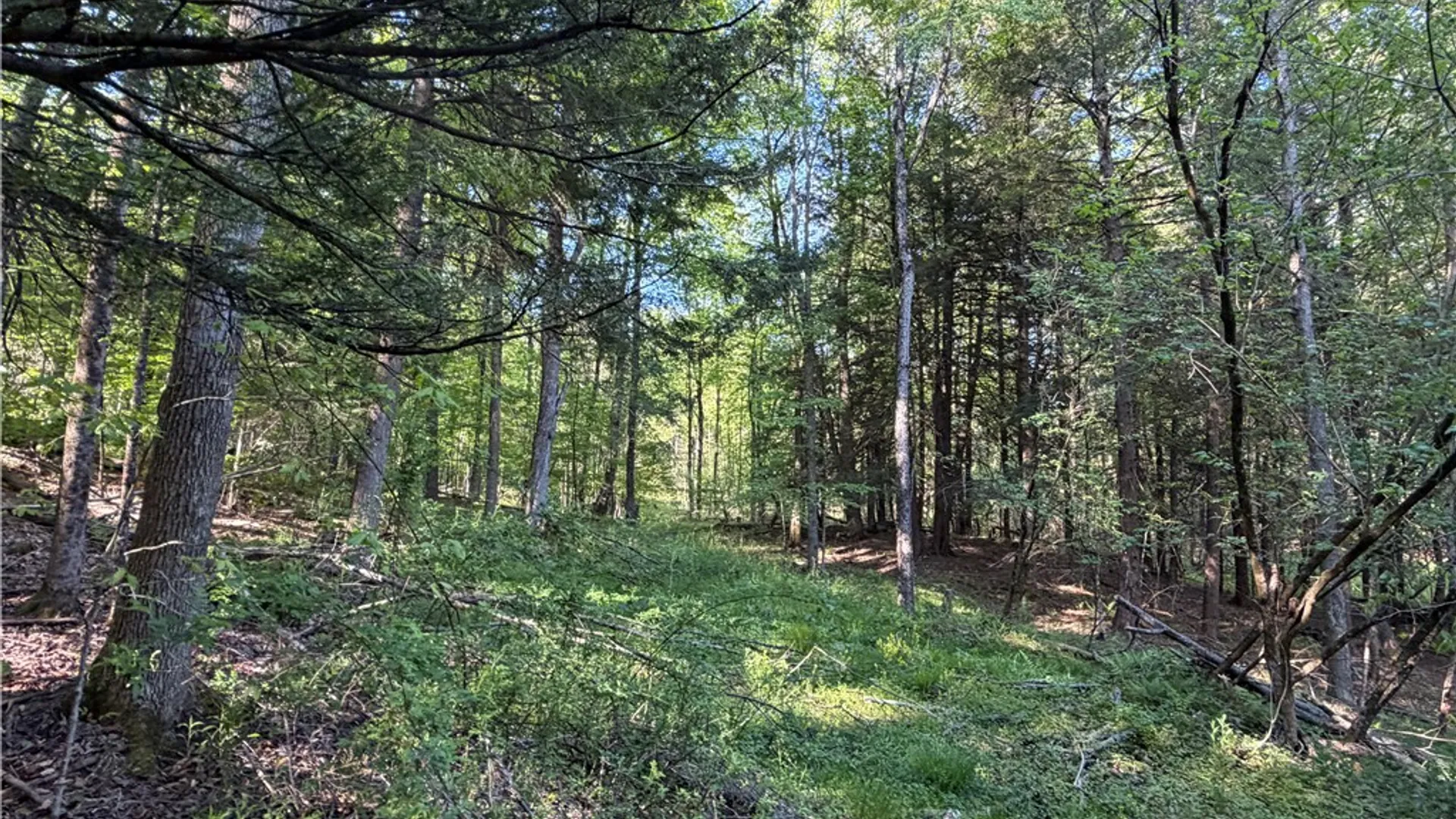 Property at VL Lot 1 Dry Run Road, Hornby, NY 14812 35