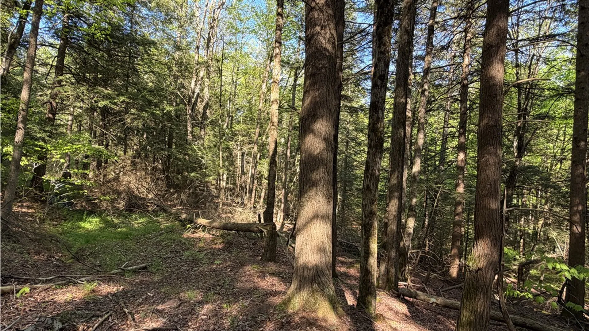 Property at VL Lot 1 Dry Run Road, Hornby, NY 14812 36