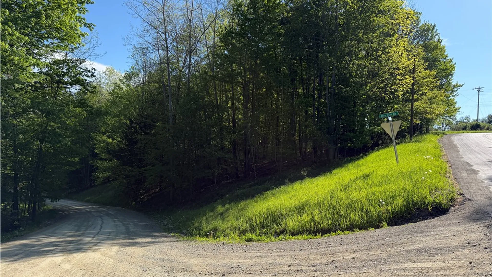 Property at VL Lot 1 Dry Run Road, Hornby, NY 14812 4